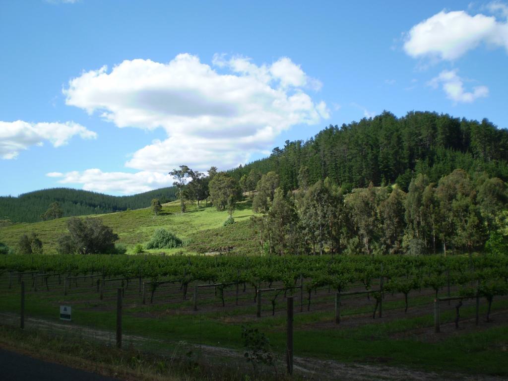 バリンガップ Redgum Hill Country Retreatゲストハウス エクステリア 写真