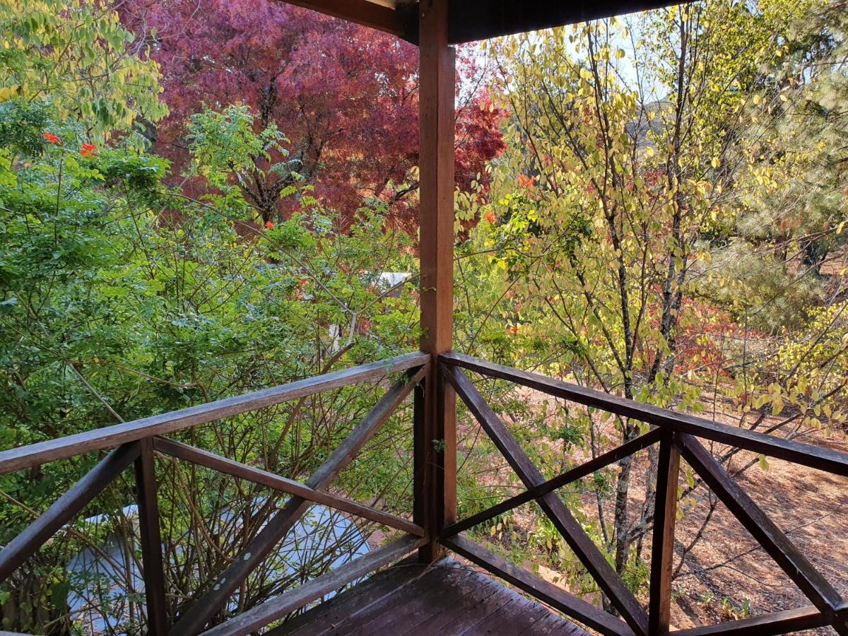 バリンガップ Redgum Hill Country Retreatゲストハウス エクステリア 写真