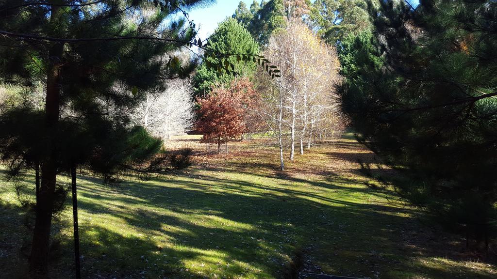 バリンガップ Redgum Hill Country Retreatゲストハウス エクステリア 写真