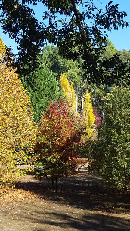 バリンガップ Redgum Hill Country Retreatゲストハウス エクステリア 写真