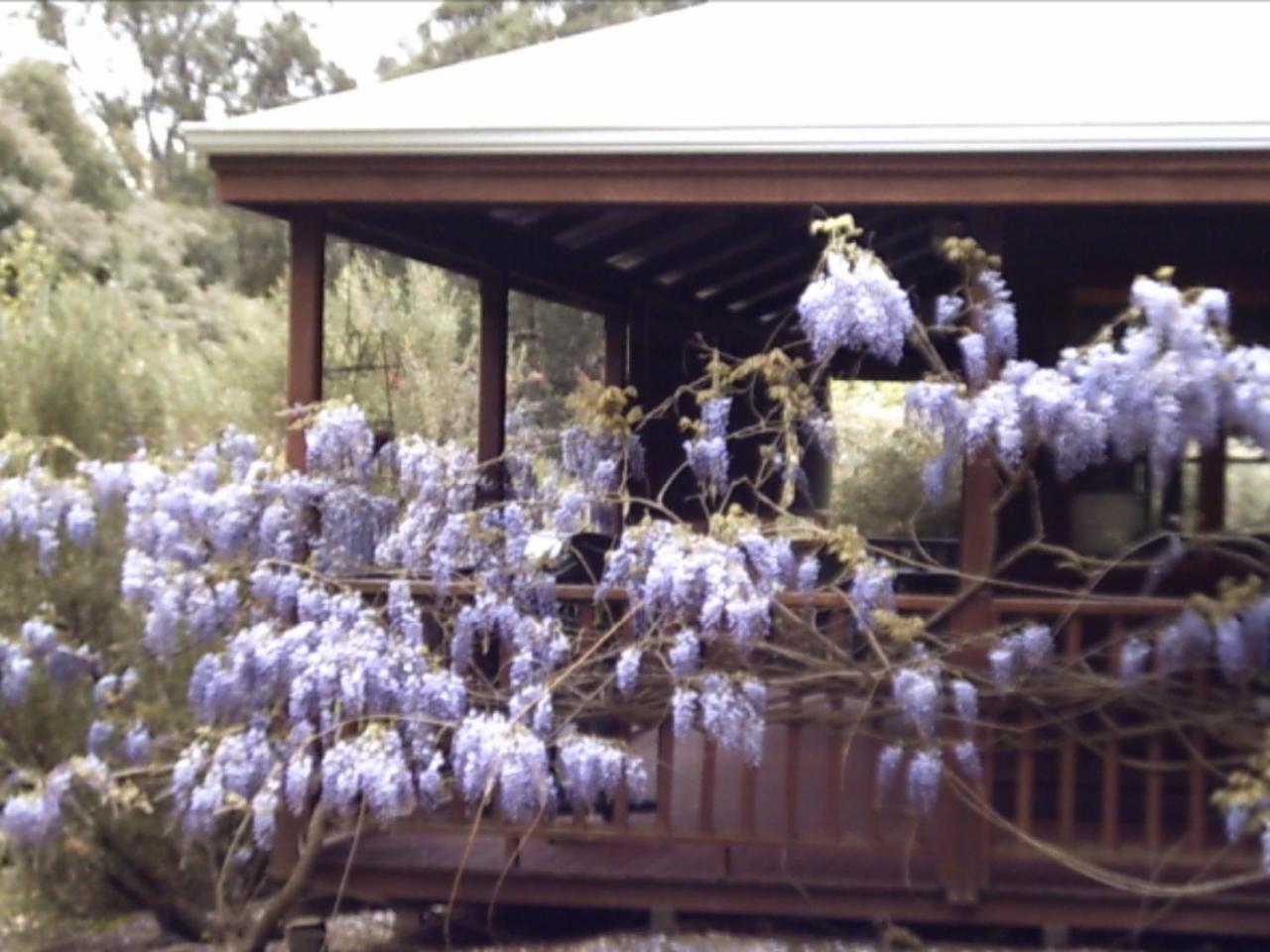 バリンガップ Redgum Hill Country Retreatゲストハウス エクステリア 写真